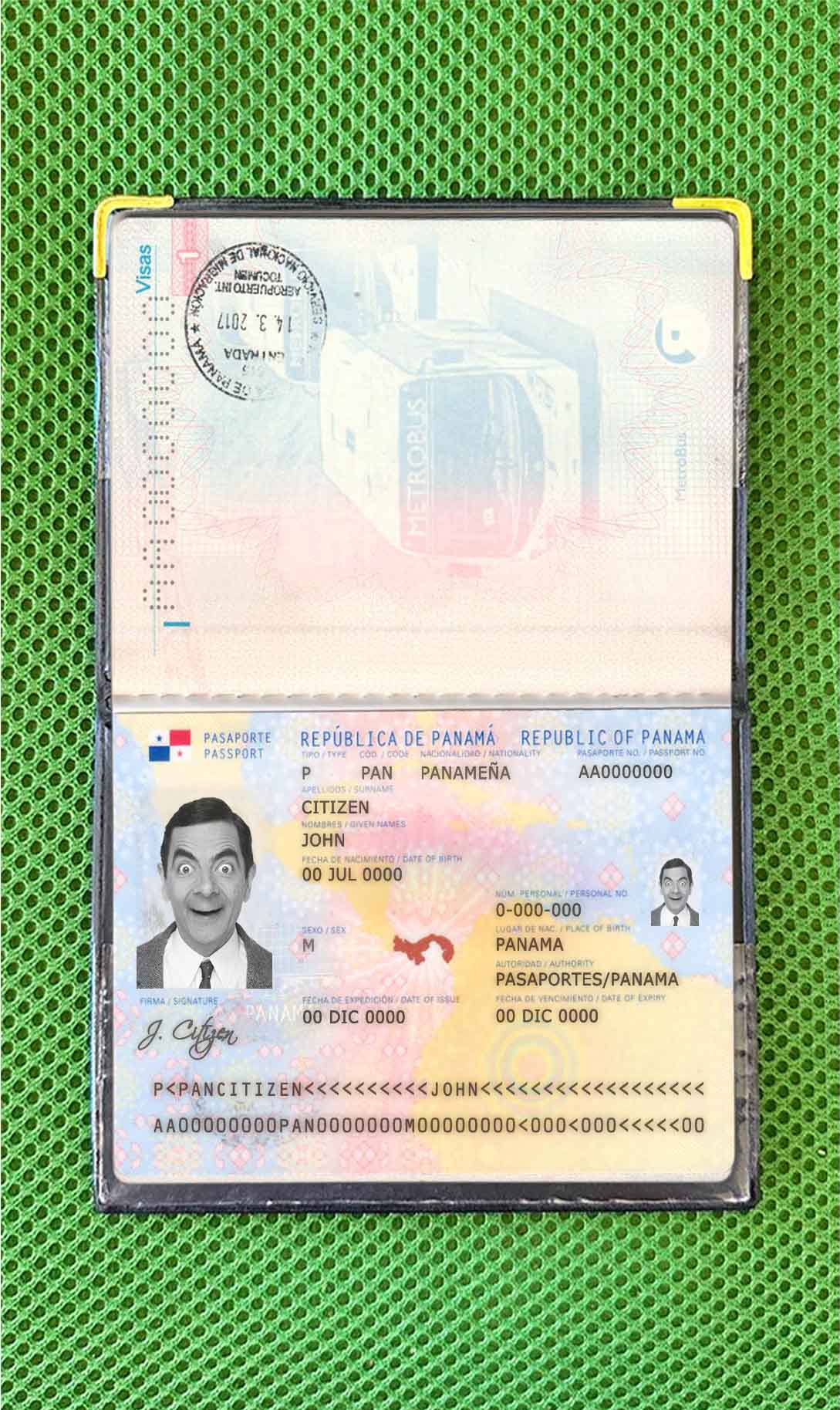 Panama passport photo look PSD template